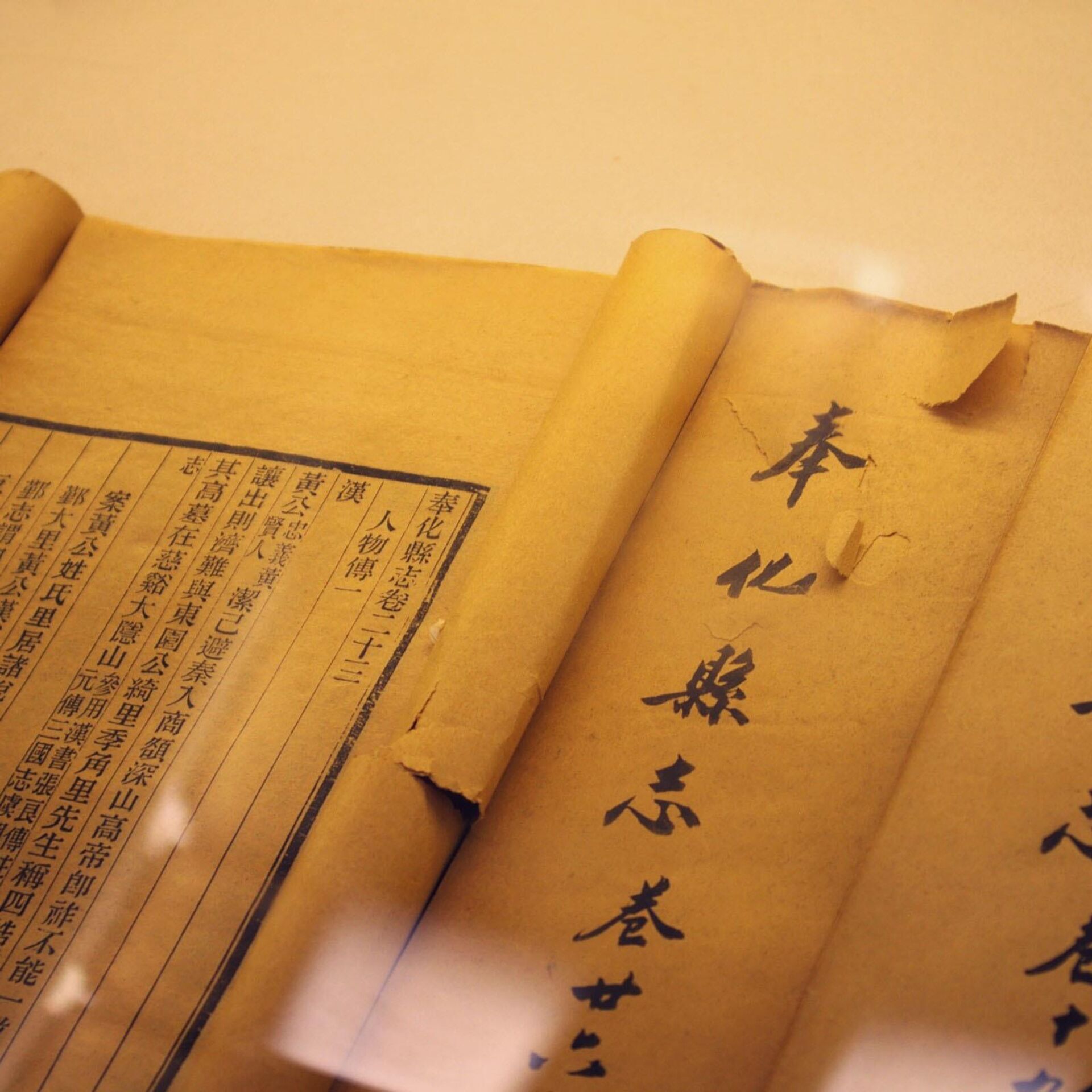 Descubren manuscrito de 218 años con un árbol genealógico en la provincia china de Hebei