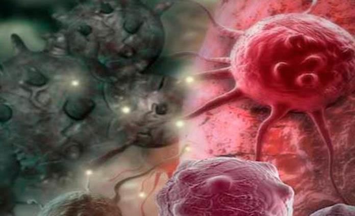Logran que la quimioterapia penetre en el cerebro contra un tumor mortal