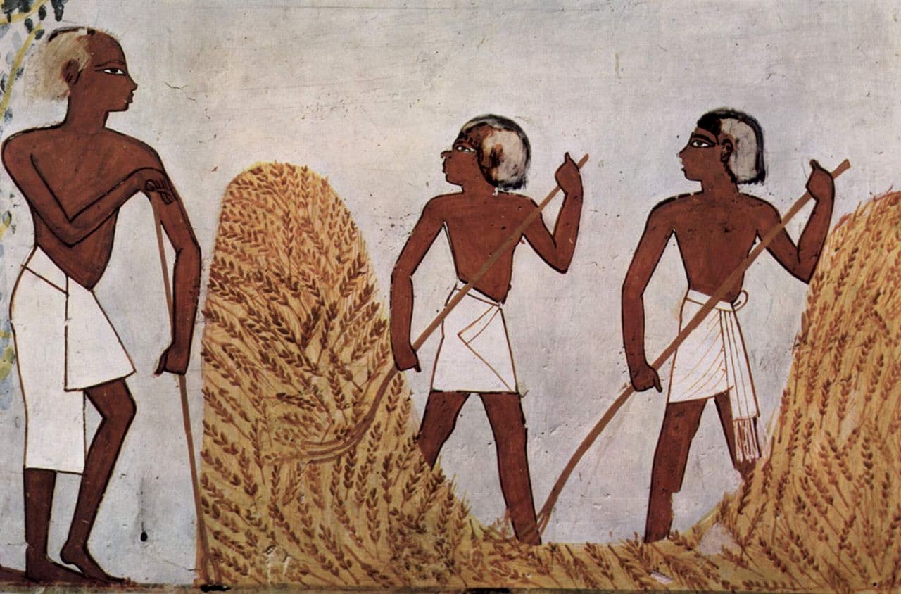 Los genes de los cazadores-recolectores ayudaron a los primeros agricultores