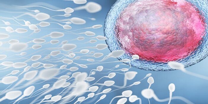 Científicos de Florida crean chip para separar los espermatozoides 