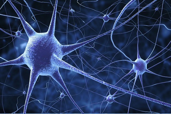 Células cerebrales en una placa de laboratorio aprenden a jugar al Pong