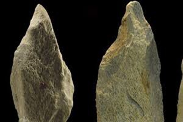 Hallan la herramienta de hueso de elefante más antigua de Europa, de hace 480.000 años